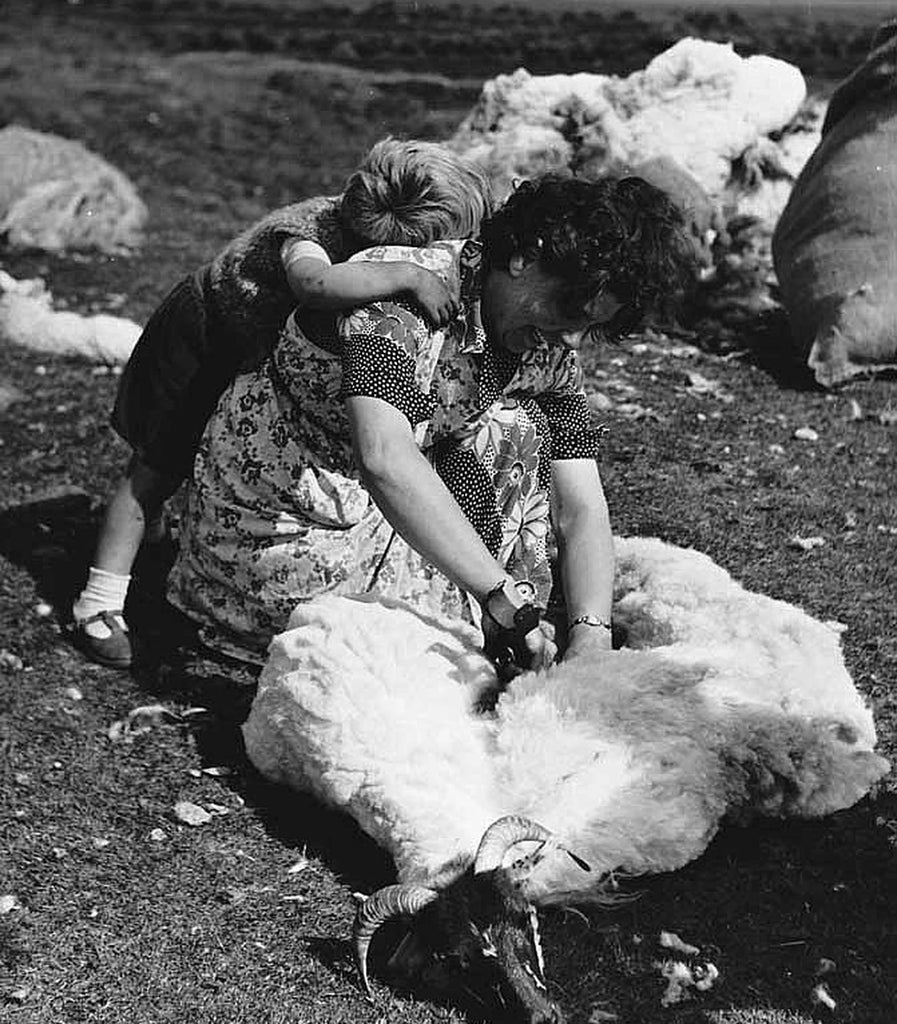 Threaded Through Time: The Story of Harris Tweed and Scotland's Outer Hebrides