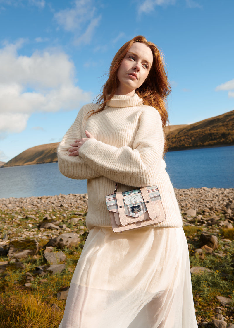 Leather Mini Satchel